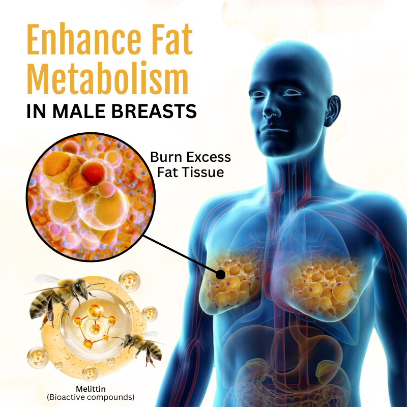 ✨✨BBOJI™ ThermoFirm Bees Gynecomastia Oil